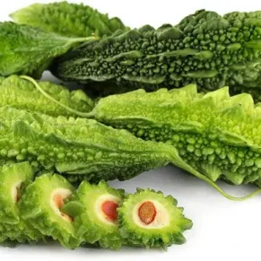 Bitter20Gourd201.5kg-1718704206988.webp Bitter Gourd (kg)