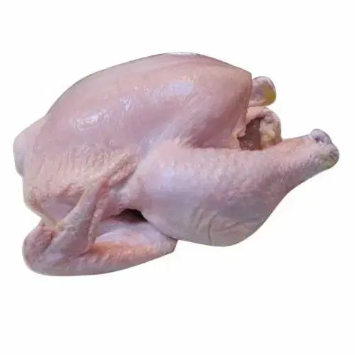 Chicken20-20Broiler-1719303664188.webp Chicken - Broiler