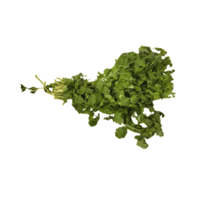 Coriander20-20fresh-1729758267440.png Coriander Leaf