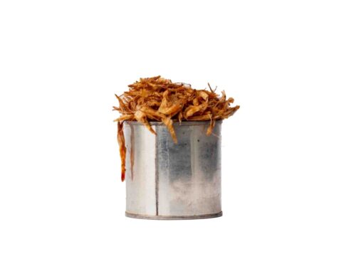 Crayfish20120Cup1-1724918052731.jpg Crayfish
