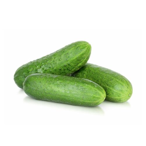 Cucumber201kg-1718373774110.jpg Cucumber (kg)