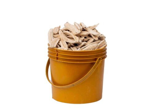 Dried20Plantain20120Paint20Bucket-1724764791351.jpg Dried Plantain
