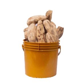 Dried20Yam20120Paint20Bucket-1724764993746.jpg Dried Yam