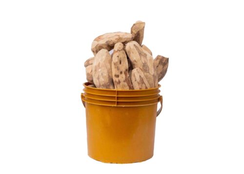 Dried20Yam20120Paint20Bucket-1724764993746.jpg Dried Yam