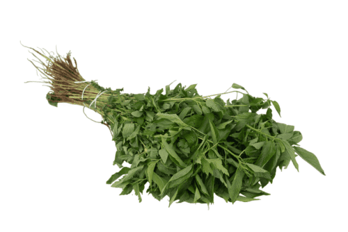 Ewedu-1725266995919.png Ewedu Leaf