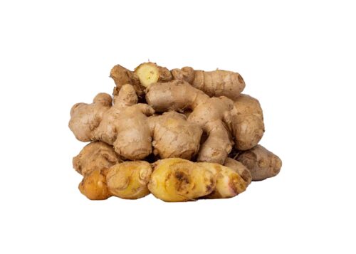 Ginger20General20Picture1-1724923482586.jpg Ginger