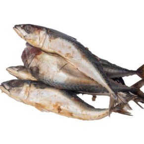 Fish - Kampala Titus