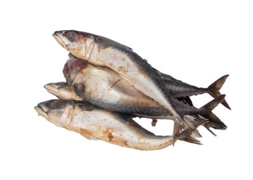 Kampala20Fish201-1725279139503.jpg Fish - Kampala Titus