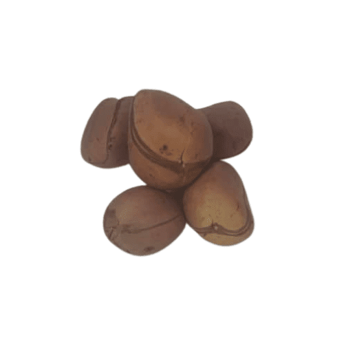 Kola-1754687193437.png Kolanut - Gbanja
