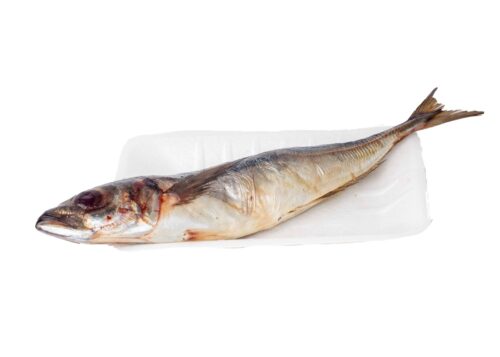 Kote20Fish20120Piece-1725276578190.jpg Fish - Kote