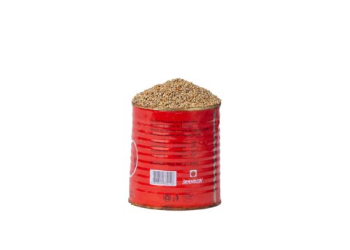 Millet20Derica1-1725008371885.jpg Millet