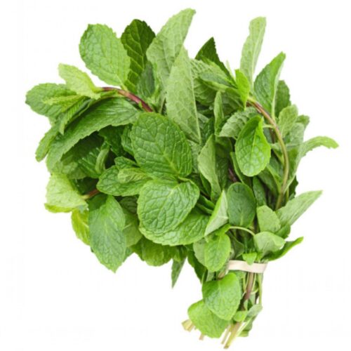 Mint20Leaf1-1718994194695.jpg Mint Leaf