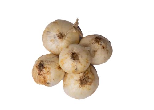 Onions20-20White20Small20Portion1-1724764373524.jpg Onions - White