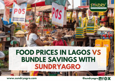 Food prices in lagos vs bundle savings with SundryAgro