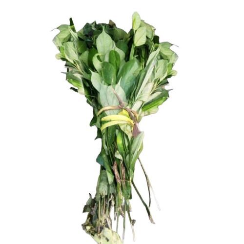 editan20leaves-1719044782680.jpg Editan Leaves