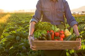 farm-fresh produce delivery