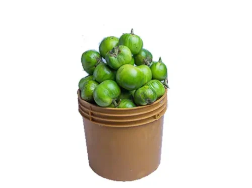 image-1722183151350.webp Garden Egg - Green