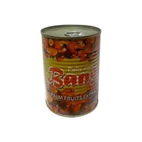 image2024-1719229168738.webp Pally Agro Banga Paste (400g)