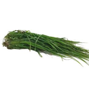 Lemon Grass - With Roots