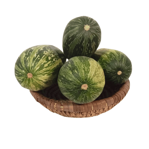 marrow201kg-1726234207862.png Marrow