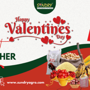 SundryAgro Valentine Silver eGift Card