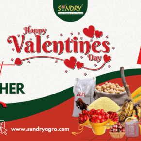 SundryAgro Valentine Gold eGift Card