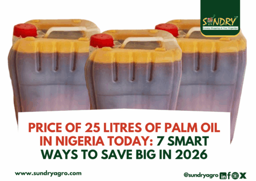 Price of 25 Litres of Palm Oil in Nigeria 