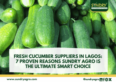FRESH CUCUMBER