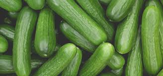 Fresh Cucumber Suppliers in Lagos
