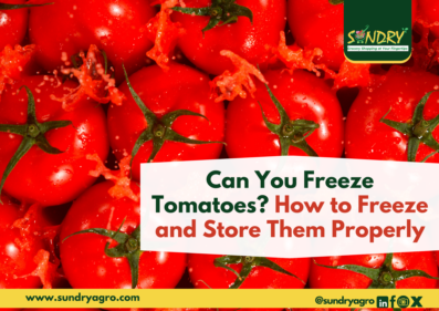 can you freeze tomatoes?