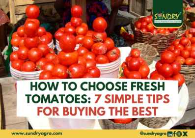 how to choose fresh tomatoes