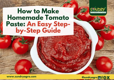 How to Make Homemade Tomato Paste