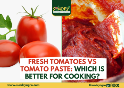 Fresh Tomatoes vs Tomato Paste