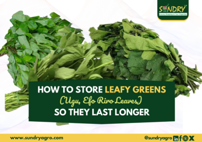 how to store leafy greens