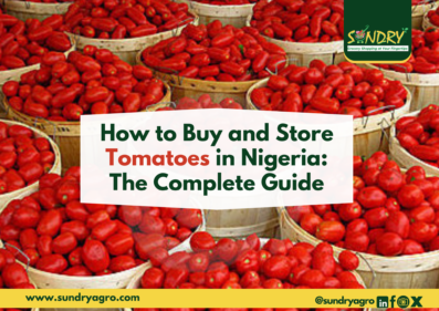 how to buy and store tomatoes in Nigeria
