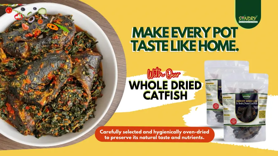 catfish-banner