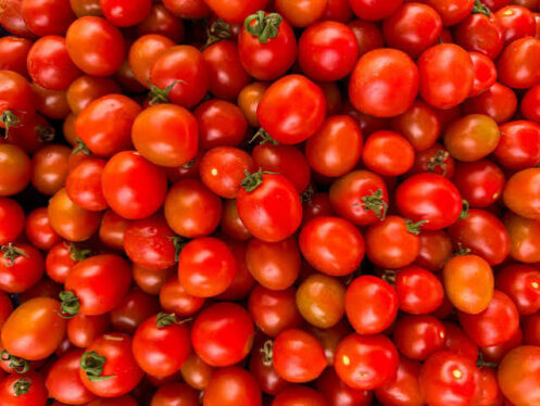 how long do tomatoes last?
