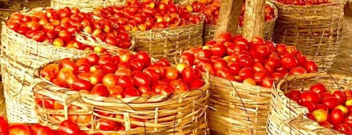 How to Buy and Store Tomatoes in Nigeria