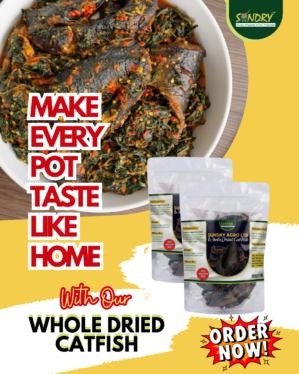 sundry agro catfish