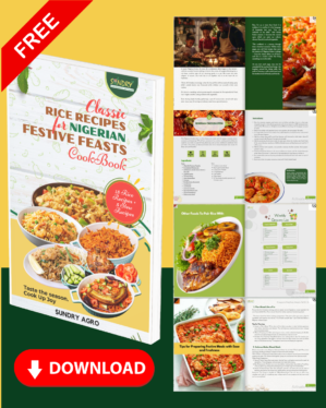 festive cookbook